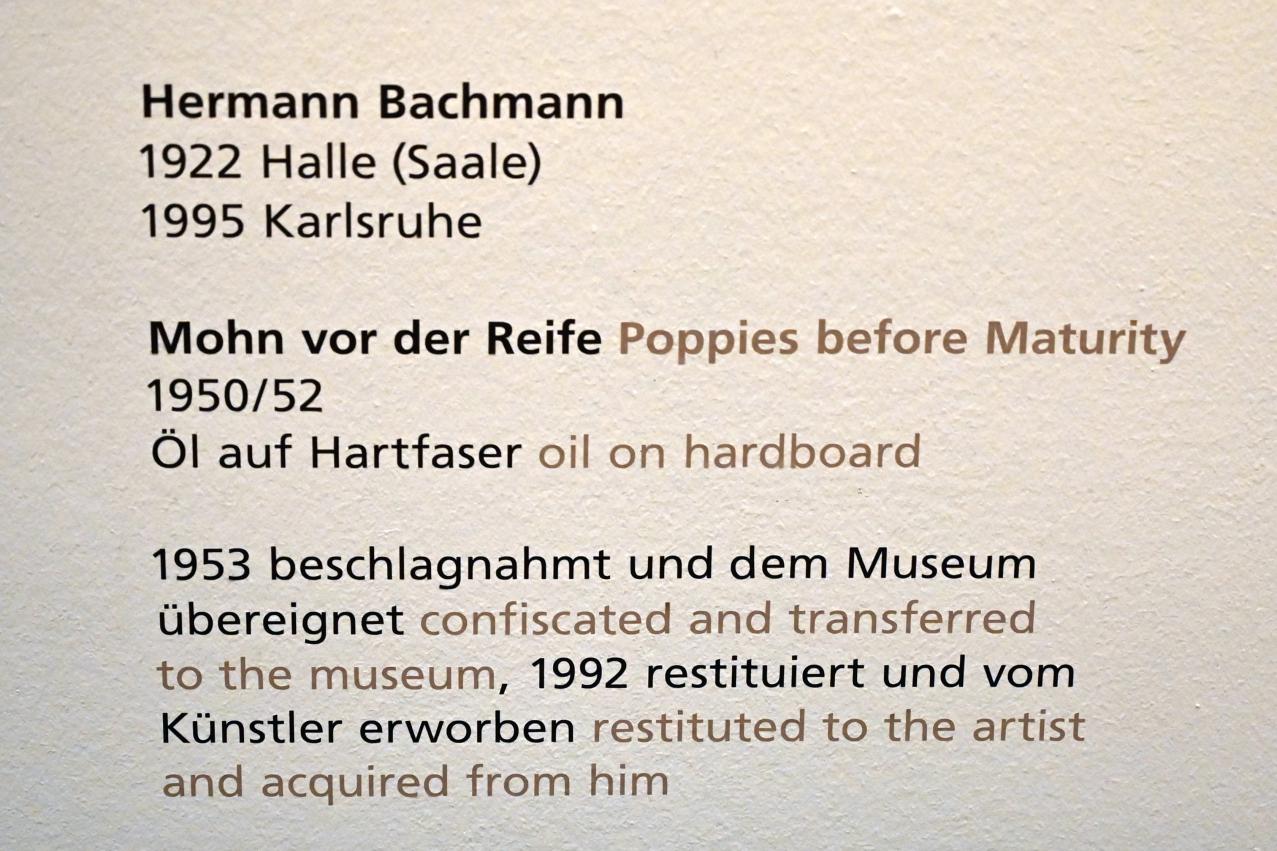 Hermann Bachmann (1948–1951), Mohn vor der Reife, Halle (Saale), Kunstmuseum Moritzburg, Wege der Moderne, Crodel, Hahs, 1950–1952, Bild 2/2