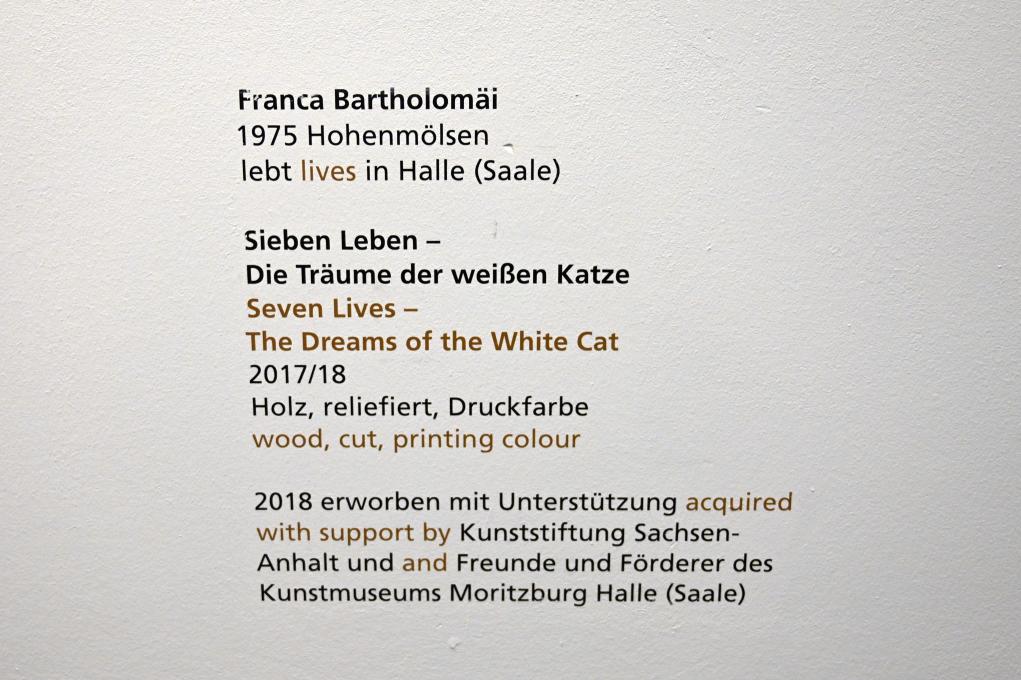 Franca Bartholomäi (2017), Sieben Leben - Die Träume der weißen Katze, Halle (Saale), Kunstmuseum Moritzburg, Treppenhaus, 2017–2018, Bild 8/8