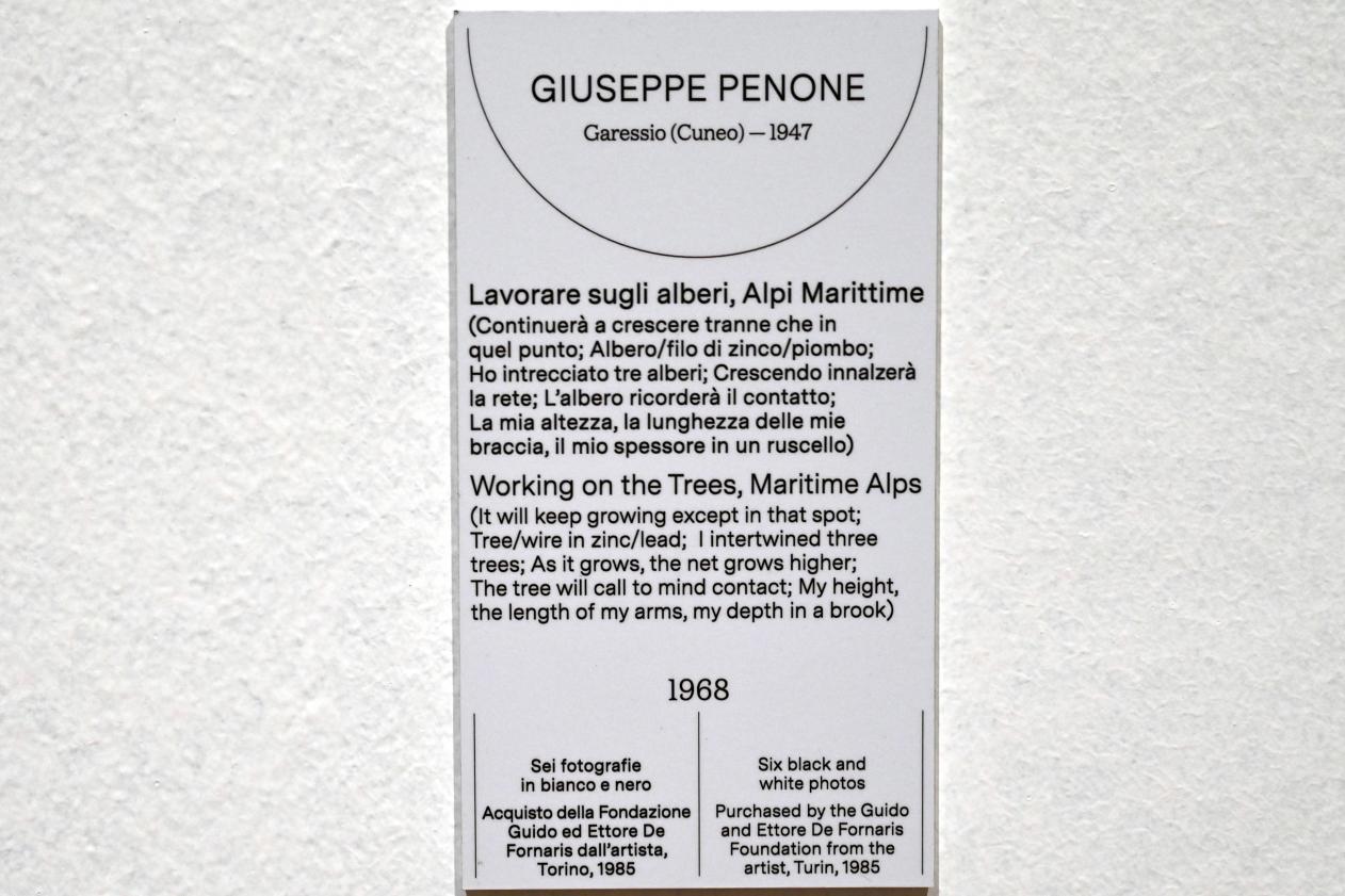Giuseppe Penone (1968–2011), Arbeiten auf den Bäumen, Seealpen, Turin, Galleria civica d'arte moderna e contemporanea (GAM Torino), Saal 19, 1968, Bild 2/2