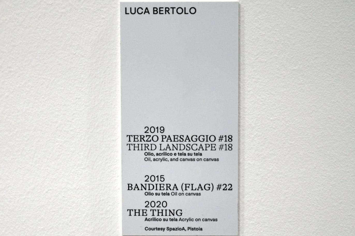 Luca Bertolo (2015–2020), Flagge Nr. 22, Turin, Galleria civica d'arte moderna e contemporanea (GAM Torino), Untergeschoß 1, 2015, Bild 2/2