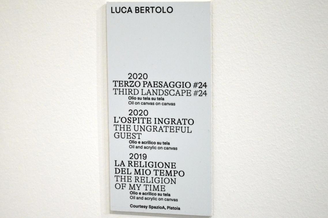 Luca Bertolo (2015–2020), Dritte Landschaft Nr. 22, Turin, Galleria civica d'arte moderna e contemporanea (GAM Torino), Untergeschoß 1, 2020, Bild 2/2