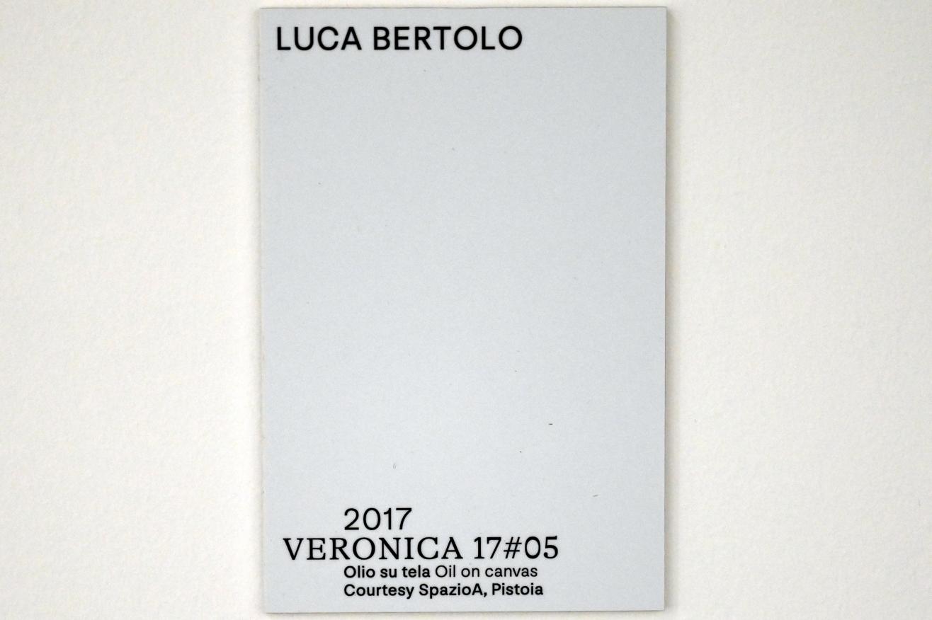Luca Bertolo (2015–2020), Veronica 17#05, Turin, Galleria civica d'arte moderna e contemporanea (GAM Torino), Untergeschoß 2, 2017, Bild 2/2