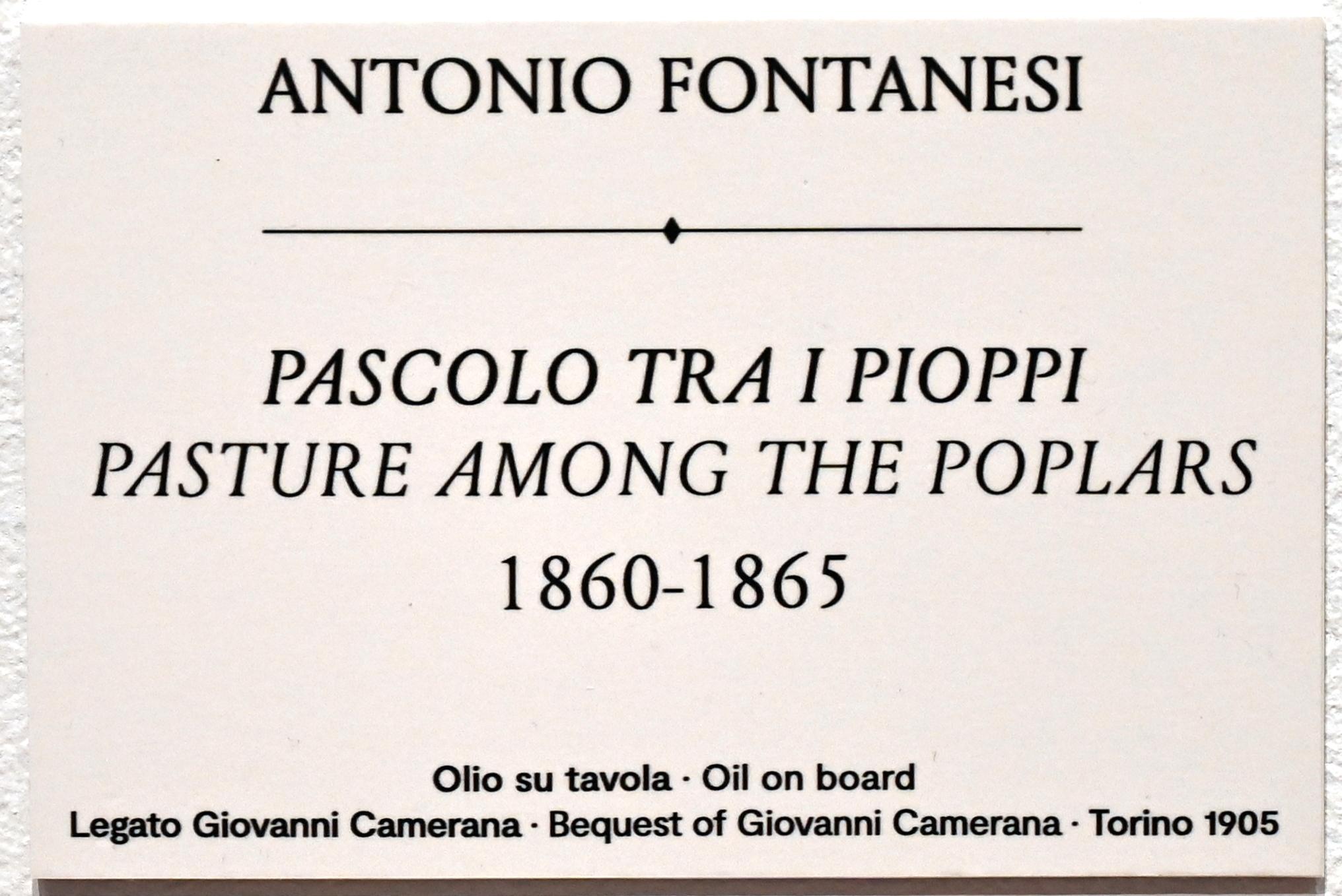 Antonio Fontanesi (1862–1870), Weide zwischen Pappeln, Turin, GAM Torino, Ausstellung "Natur und Wahrheit" vom 09.07.-17.10.2021, 1860–1865, Bild 2/2