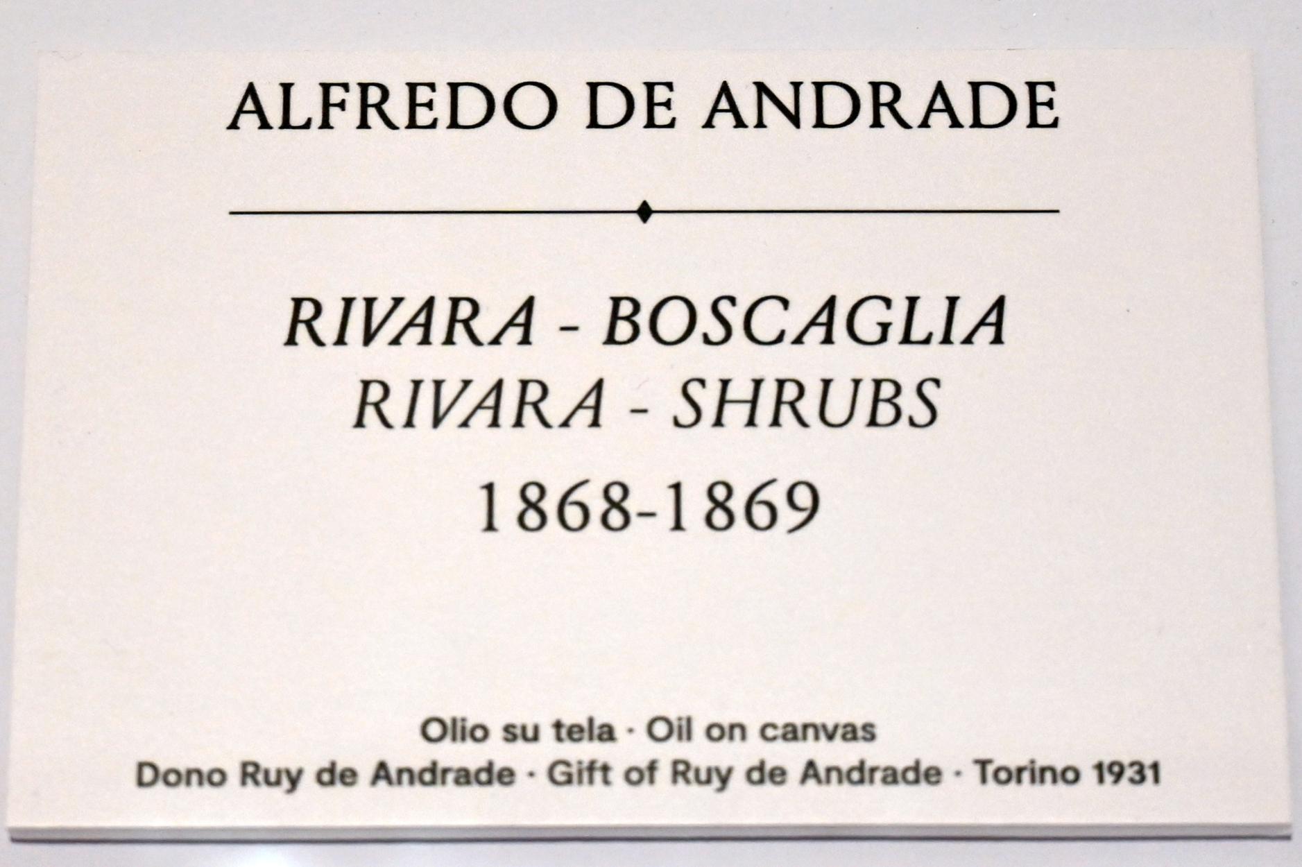 Alfredo d’Andrade (1867–1871), Rivara-Böschung, Turin, GAM Torino, Ausstellung "Natur und Wahrheit" vom 09.07.-17.10.2021, 1868–1869, Bild 2/2