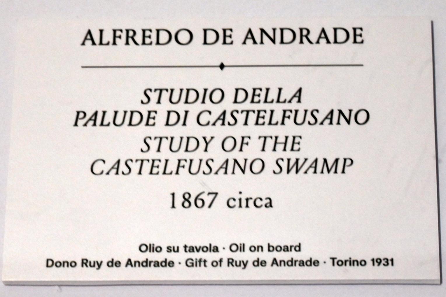 Alfredo d’Andrade (1867–1871): Studie des Castelfusano Sumpfes, um 1867, Bild 2/2