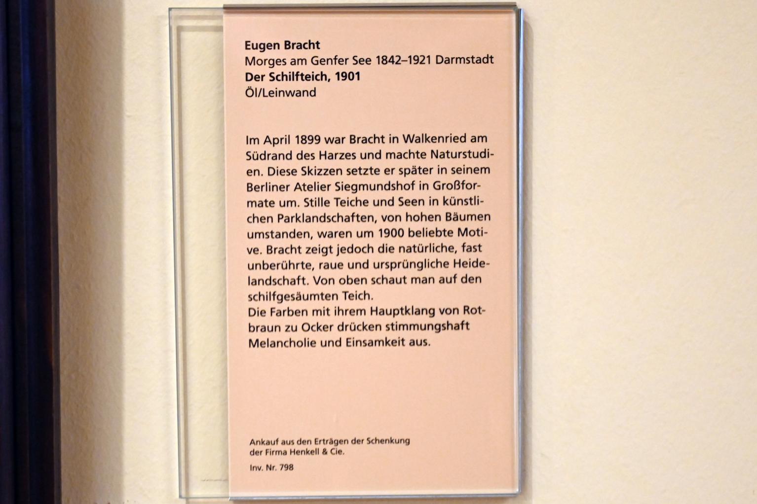 Eugen Bracht (1861–1902), Der Schilfteich, Mainz, Landesmuseum, Kunst um 1900, 1901, Bild 2/2