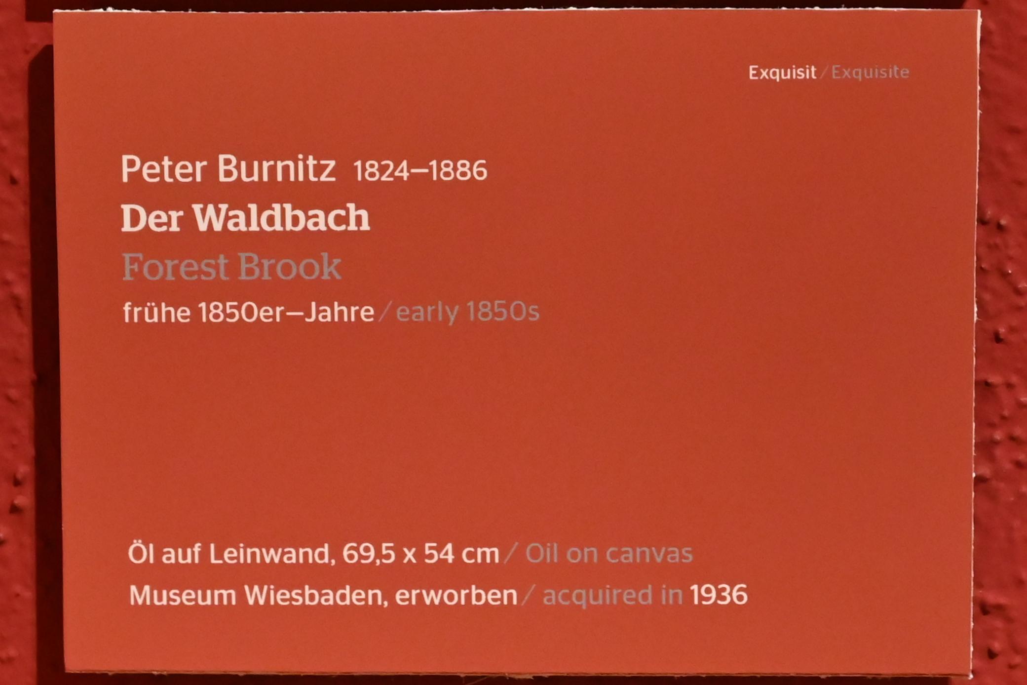Peter Burnitz (1851–1865), Der Waldbach, Wiesbaden, Museum Wiesbaden, Exquisit, um 1850–1853, Bild 2/2