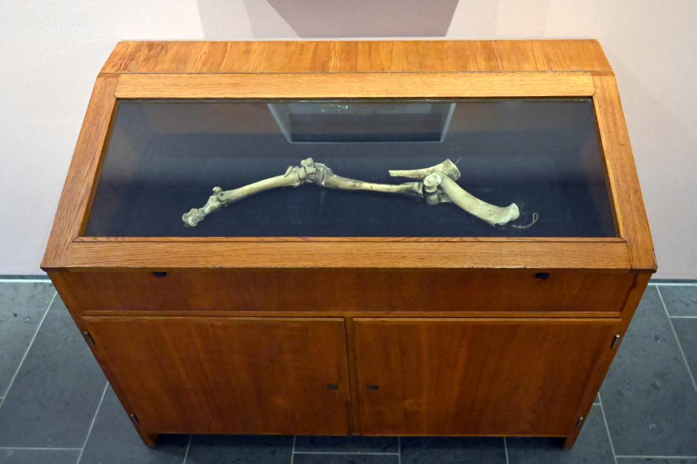 Joseph Beuys: Unbetitelt (Knochen), um 1966