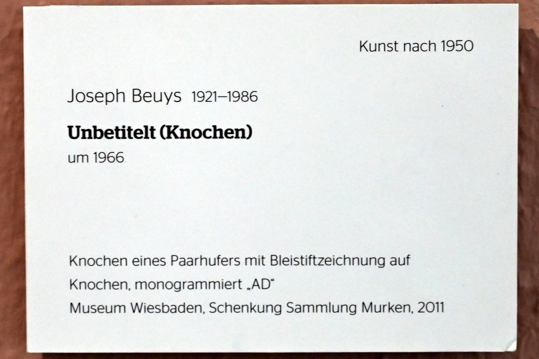 Joseph Beuys (1948–1985), Unbetitelt (Knochen), Wiesbaden, Museum Wiesbaden, Beuys 2, um 1966, Bild 2/2