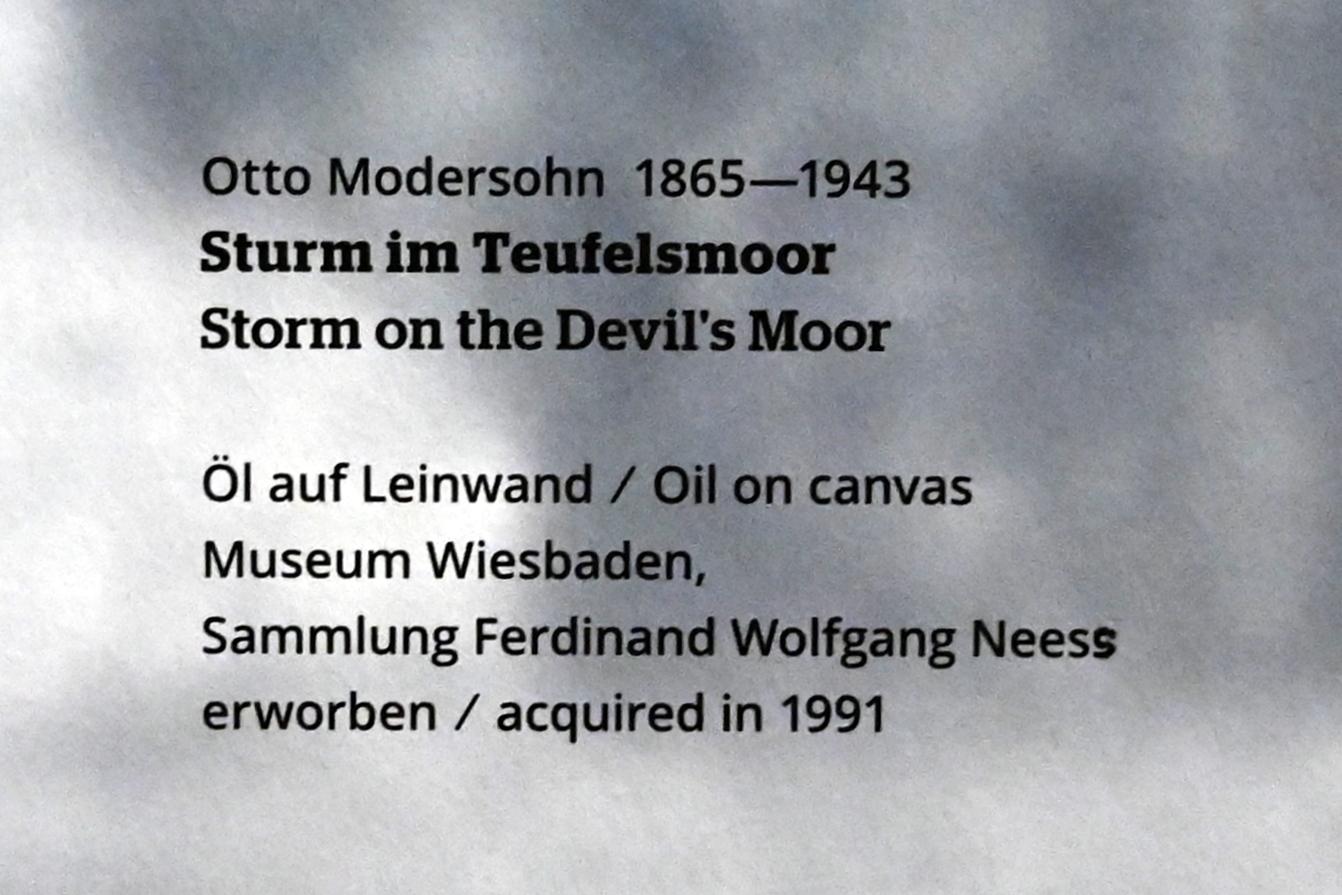 Otto Modersohn (1903), Sturm im Teufelsmoor, Wiesbaden, Museum Wiesbaden, Jugendstil, Undatiert, Bild 2/2