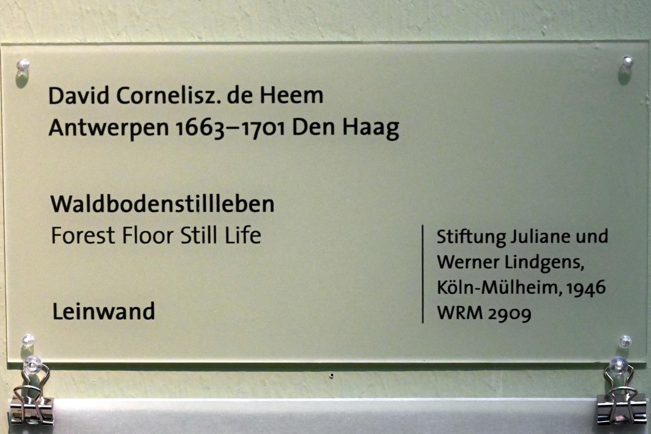 David Cornelisz. de Heem (Undatiert), Waldbodenstillleben, Köln, Wallraf-Richartz-Museum, Barock - Saal 3, Undatiert, Bild 2/2