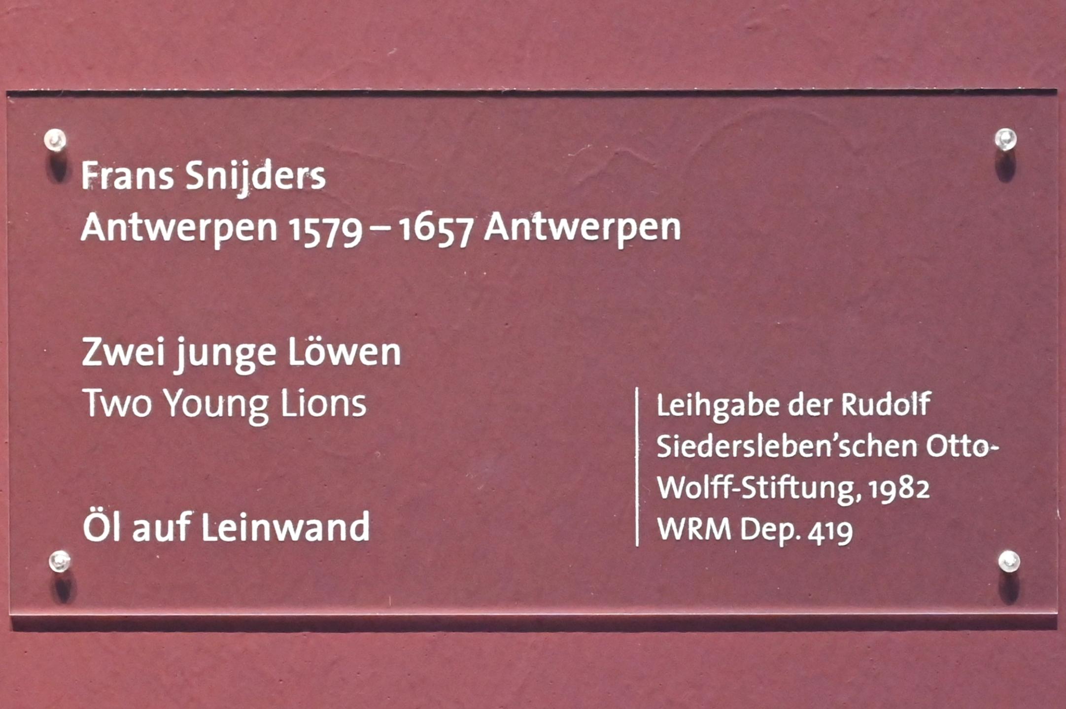 Frans Snyders (1610–1650), Zwei junge Löwen, Köln, Wallraf-Richartz-Museum, Barock - Saal 4, Undatiert, Bild 2/2