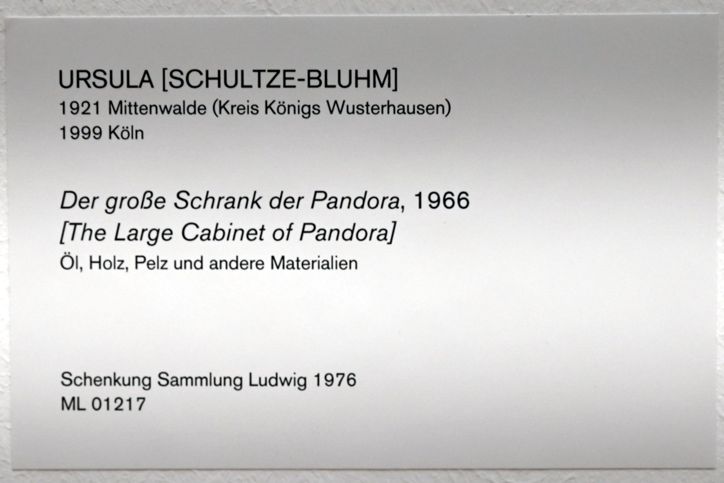 Ursula Schultze-Bluhm (1954–1997), Der große Schrank der Pandora, Köln, Museum Ludwig, 02.24, 1966, Bild 5/5