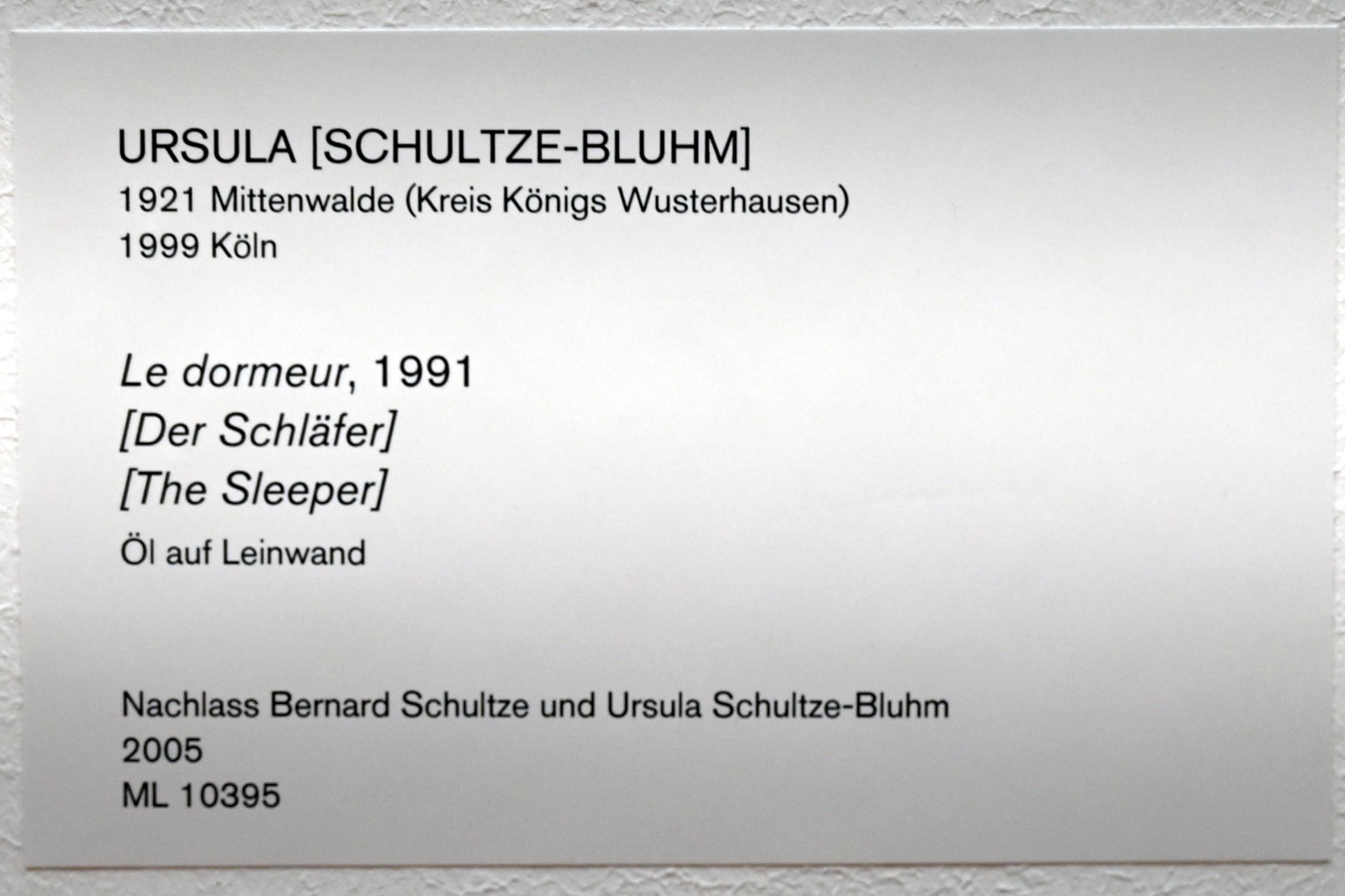 Ursula Schultze-Bluhm (1954–1997), Der Schläfer, Köln, Museum Ludwig, 02.24, 1991, Bild 2/2