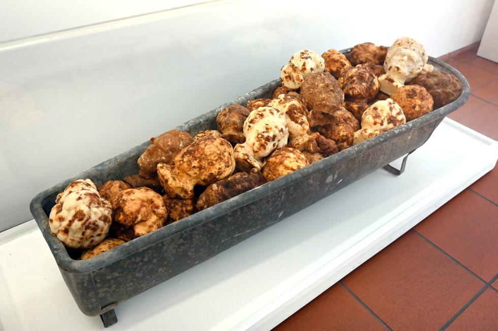 Dieter Roth (1965–1993), Die Badewanne zu "Ludwig van", Köln, Museum Ludwig, 01.19, 1969, Bild 2/5