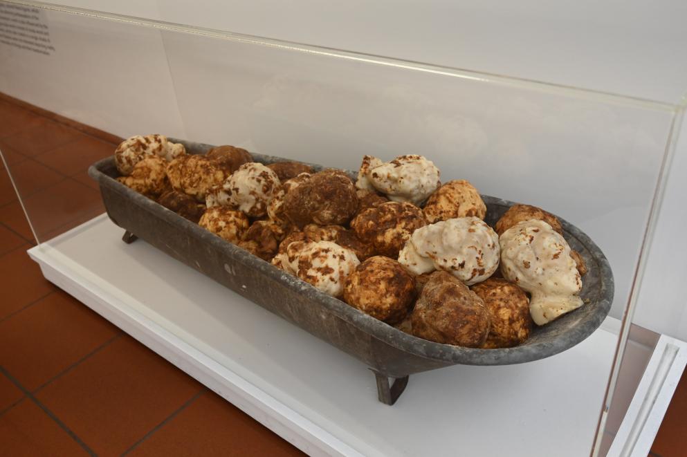 Dieter Roth (1965–1993), Die Badewanne zu "Ludwig van", Köln, Museum Ludwig, 01.19, 1969, Bild 3/5