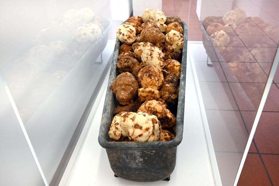 Dieter Roth (1965–1993), Die Badewanne zu "Ludwig van", Köln, Museum Ludwig, 01.19, 1969, Bild 4/5