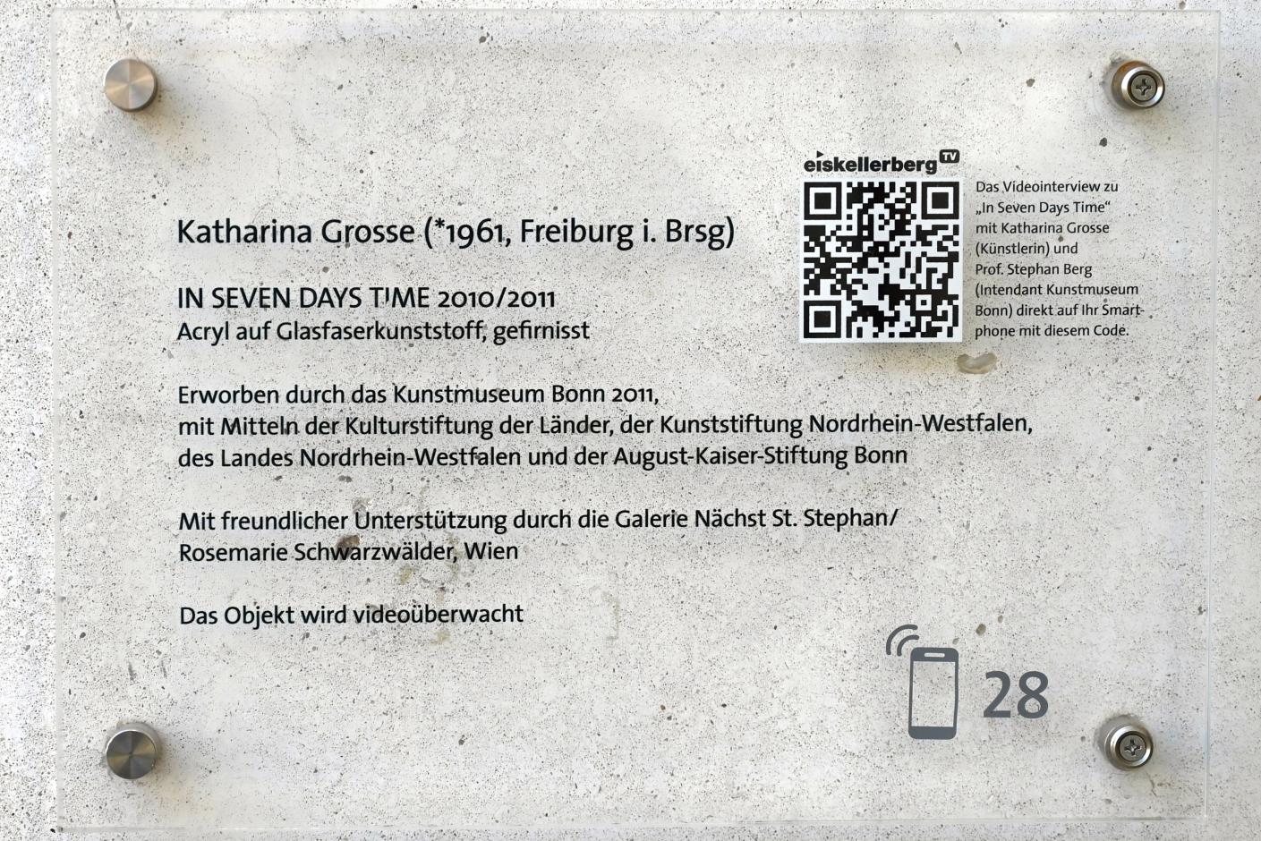 Katharina Grosse (2008–2015), In seven days time - In sieben Tagen, Bonn, Kunstmuseum, Ausstellung "Welt in der Schwebe" vom 24.02. - 19.06.2022, Außenbereich, 2010–2011, Bild 3/3