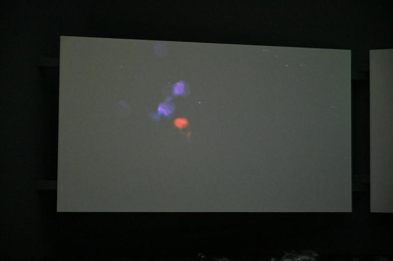 Edith Kollath (2018), Addressable Volume, Bonn, Kunstmuseum, Ausstellung "Welt in der Schwebe" vom 24.02. - 19.06.2022, Saal 5, 2018, Bild 8/10