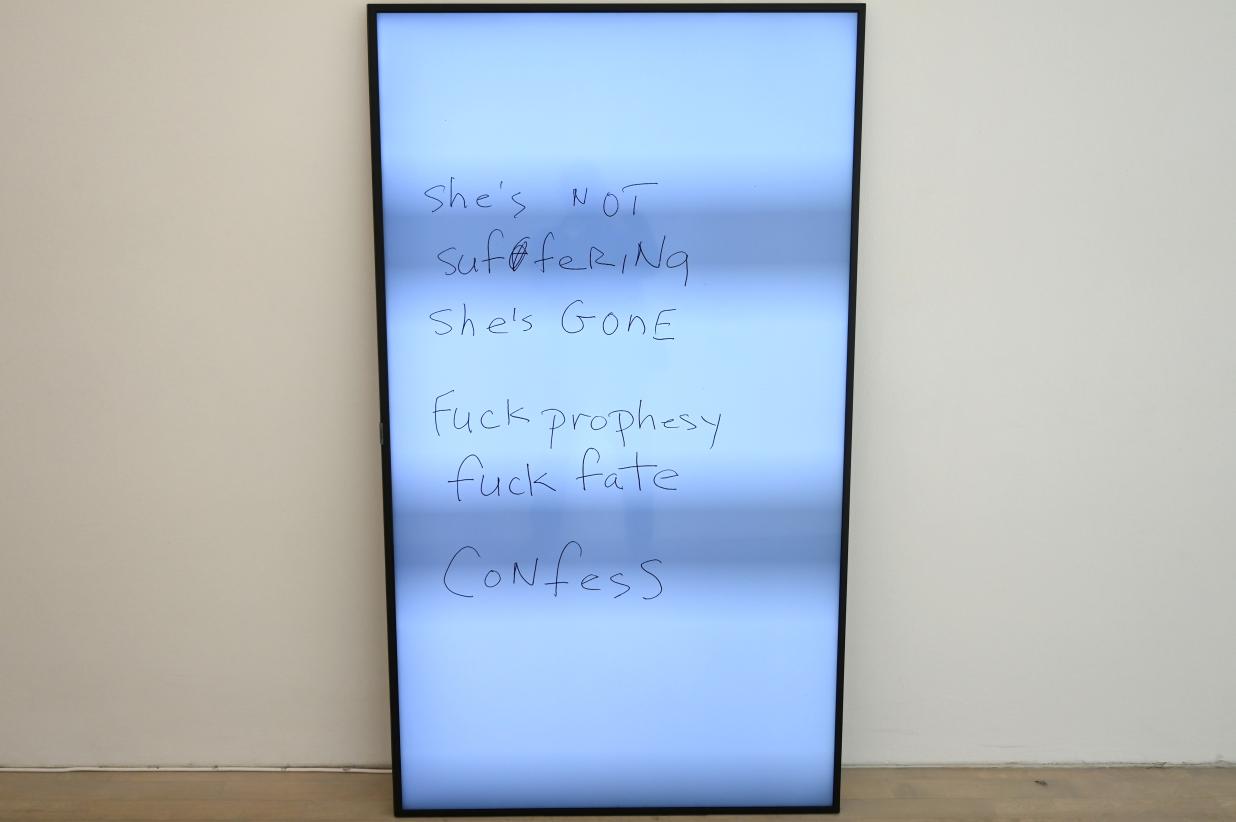 Lutz Bacher (2017–2018), Open the Kimono, Düsseldorf, Kunstsammlung K21, 2. Obergeschoss, 2018, Bild 3/7