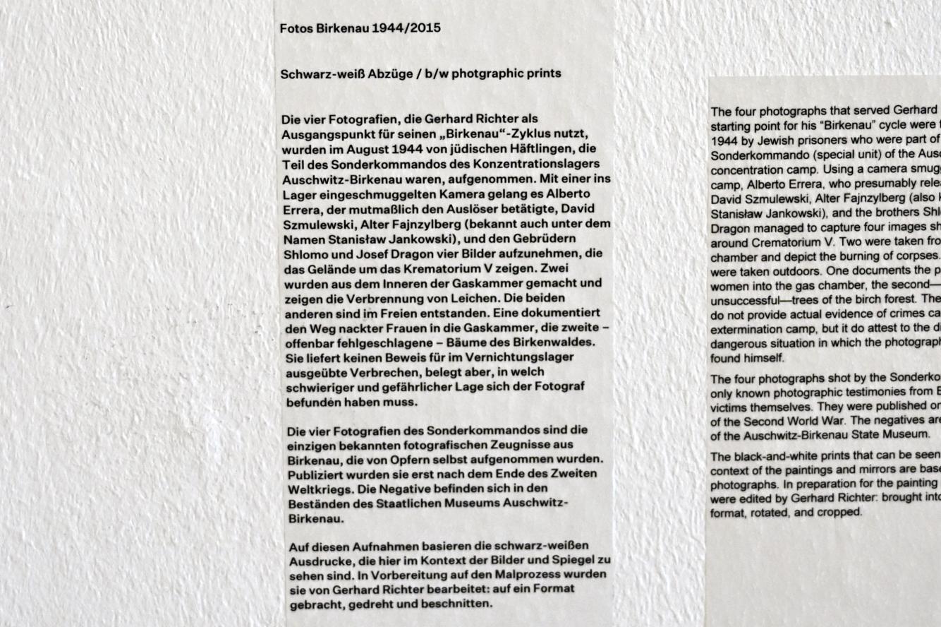 Gerhard Richter (1963–2020), Birkenau 1-4, Düsseldorf, Kunstsammlung K21, 2. Obergeschoss, 2014, Bild 13/13