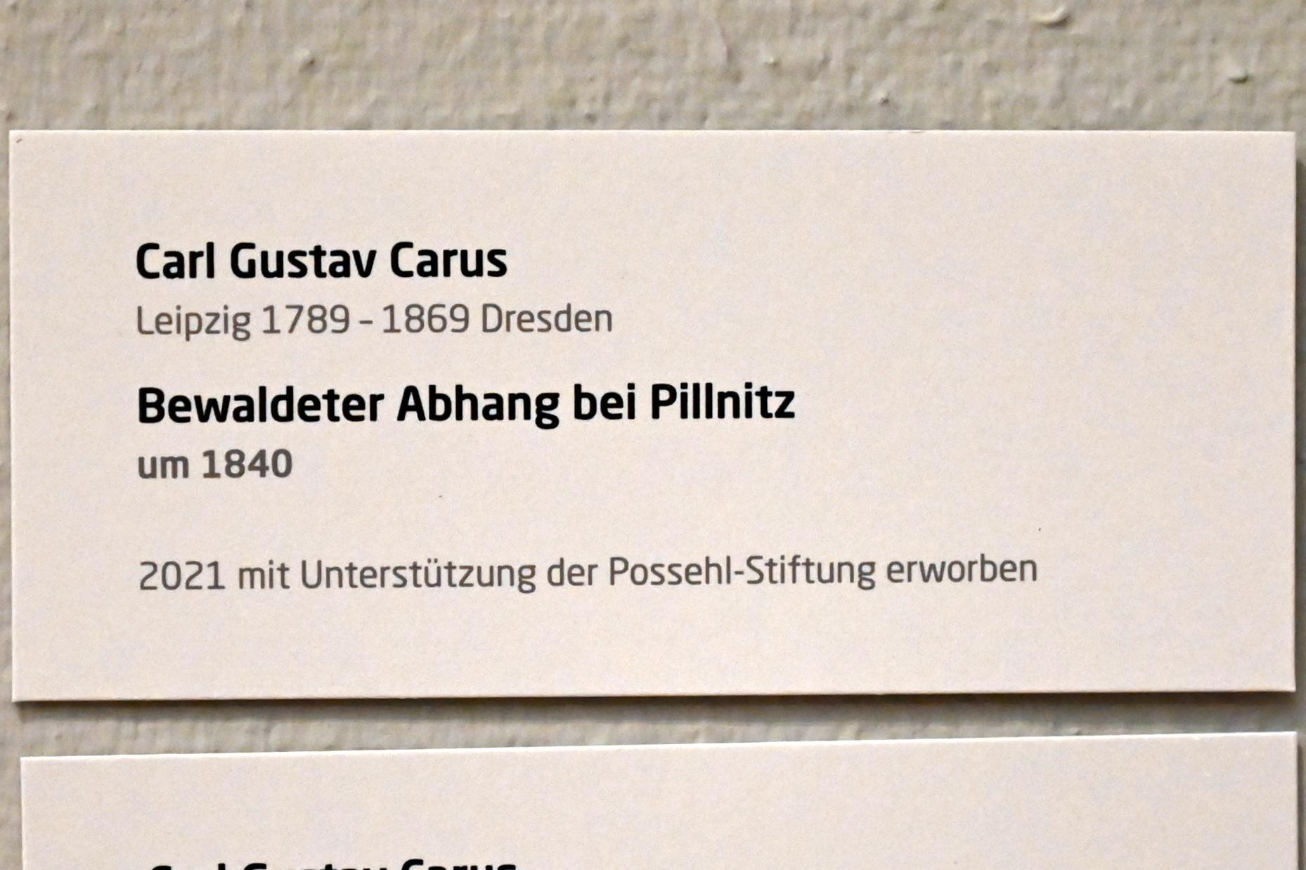 Carl Gustav Carus (1819–1845), Bewaldeter Abhang bei Pillnitz, Lübeck, Museum Behnhaus Drägerhaus, Obergeschoß Flügel Saal 3, um 1840, Bild 2/2