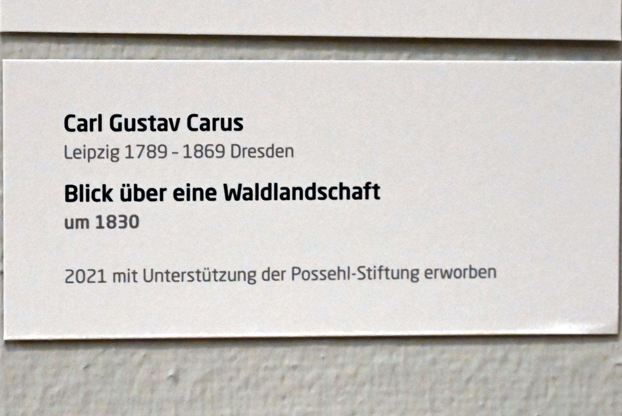 Carl Gustav Carus (1819–1845), Blick über eine Waldlandschaft, Lübeck, Museum Behnhaus Drägerhaus, Obergeschoß Flügel Saal 3, um 1830, Bild 2/2