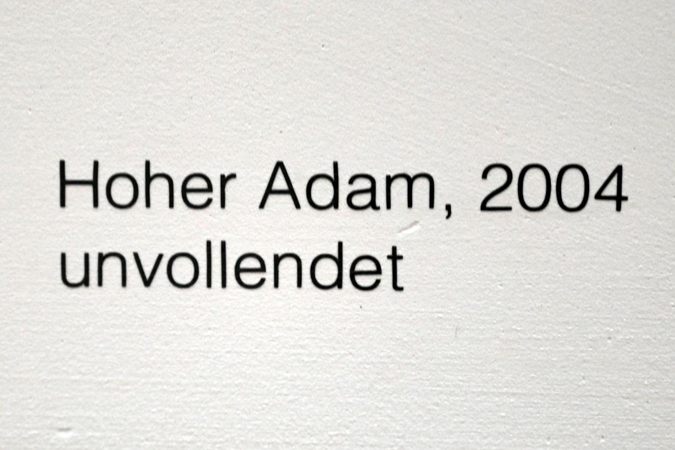 Lothar Fischer (1959–2004), Hoher Adam, Neumarkt in der Oberpfalz, Museum Lothar Fischer, Obergeschoß Raum 4, 2004, Bild 4/4