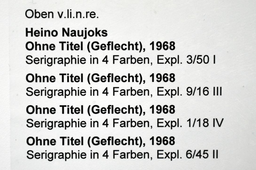 Heino Naujoks (1967–1968), Ohne Titel (Geflecht), Expl. 1/18 IV, Neumarkt in der Oberpfalz, Museum Lothar Fischer, Obergeschoß Raum 7, 1968, Bild 2/2