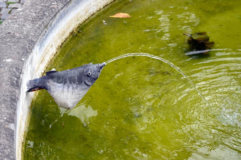 Lothar Fischer (1959–2004), Fischbrunnen, Neumarkt in der Oberpfalz, Museum Lothar Fischer, Außenbereich, 1961, Bild 4/5