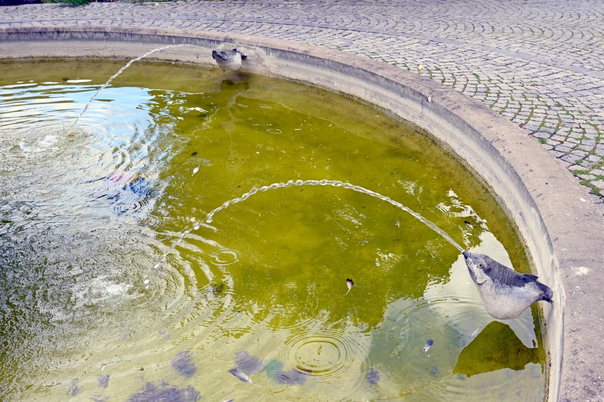 Lothar Fischer (1959–2004), Fischbrunnen, Neumarkt in der Oberpfalz, Museum Lothar Fischer, Außenbereich, 1961, Bild 5/5