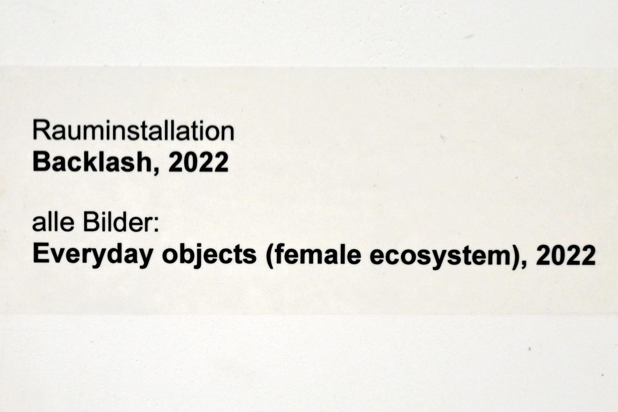 Verena Issel (2021–2022), Backlash, Neumarkt in der Oberpfalz, Museum Lothar Fischer, Ausstellung "VERENA ISSEL" vom 26.06.-09.10.2022, Raum 1, 2022, Bild 5/5