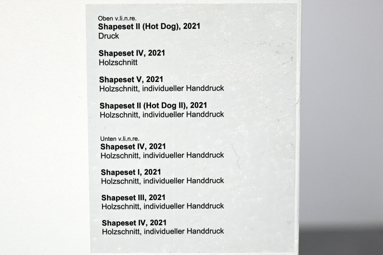 Verena Issel (2021–2022), Shapeset V, Neumarkt in der Oberpfalz, Museum Lothar Fischer, Ausstellung "VERENA ISSEL" vom 26.06.-09.10.2022, Raum 2, 2021, Bild 2/2