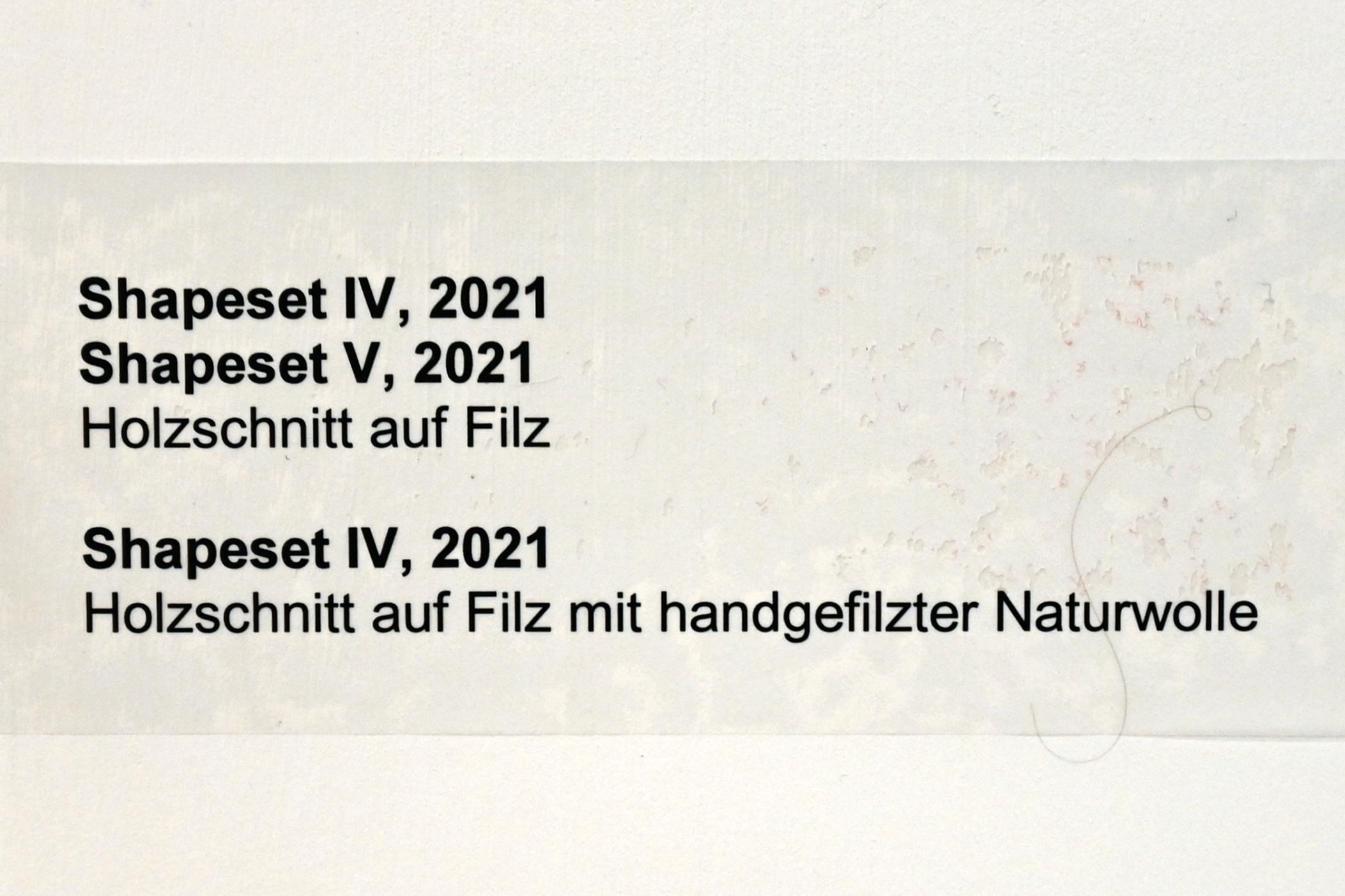 Verena Issel (2021–2022), Shapeset IV, Neumarkt in der Oberpfalz, Museum Lothar Fischer, Ausstellung "VERENA ISSEL" vom 26.06.-09.10.2022, Raum 2, 2021, Bild 2/2