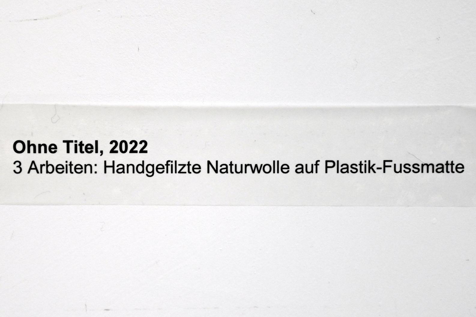 Verena Issel (2021–2022), Ohne Titel, Neumarkt in der Oberpfalz, Museum Lothar Fischer, Ausstellung "VERENA ISSEL" vom 26.06.-09.10.2022, Raum 3, 2022, Bild 2/2