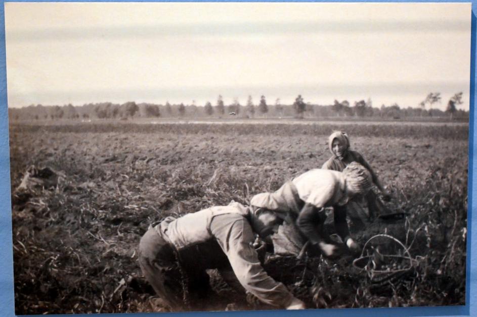 Max Pechstein (1895–1953), Kartoffelsammler, Zwickau, Kunstsammlungen, Max-Pechstein-Museum - Seegewohnheiten, 1927, Bild 3/4