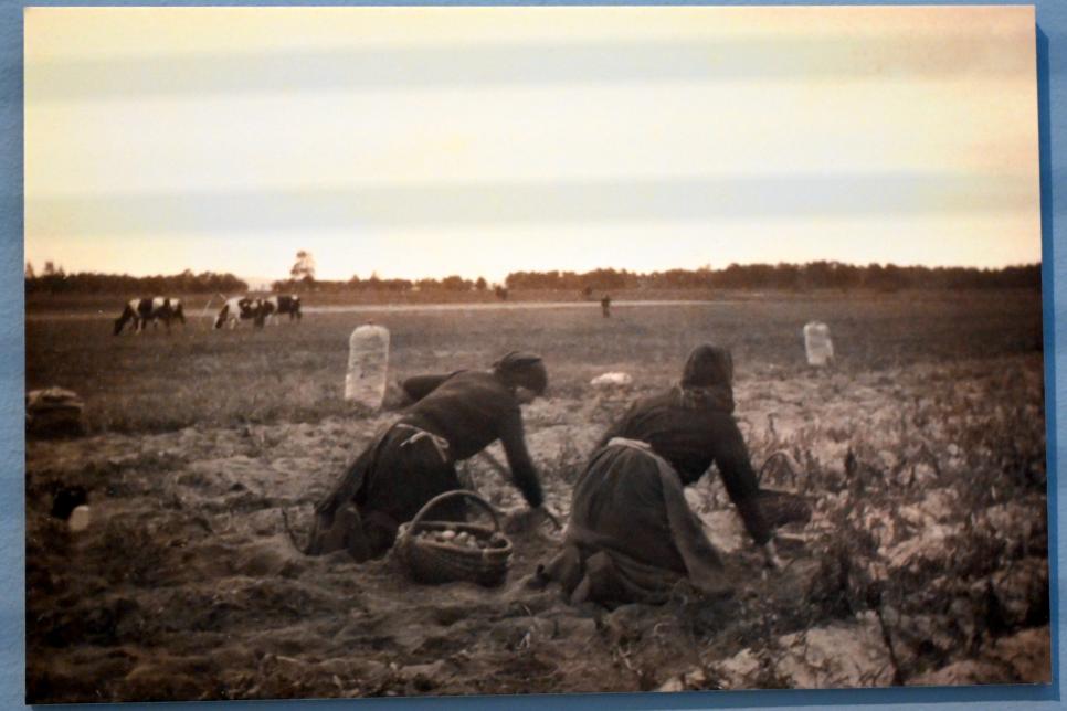Max Pechstein (1895–1953), Kartoffelsammler, Zwickau, Kunstsammlungen, Max-Pechstein-Museum - Seegewohnheiten, 1927, Bild 4/4