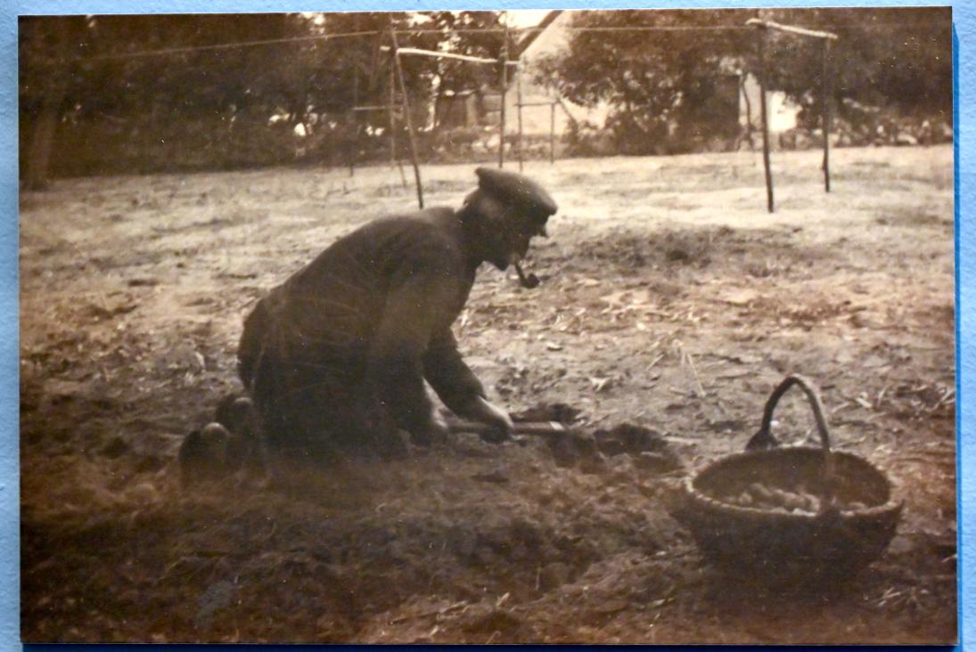 Max Pechstein (1895–1953), Postkarte an Dr. Eduard Plietzsch, Zwickau, Kunstsammlungen, Max-Pechstein-Museum - Seegewohnheiten, 1927, Bild 4/5