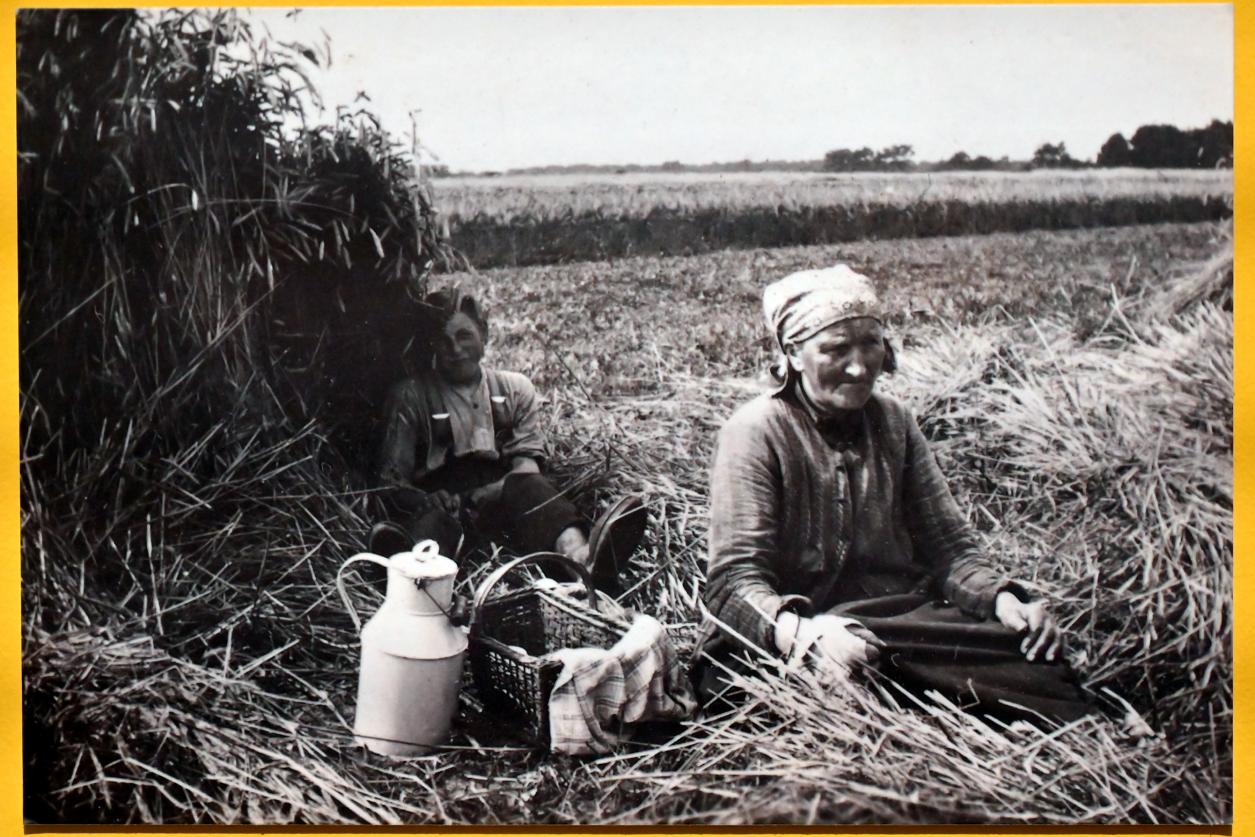 Max Pechstein (1895–1953), Gestürzte Kornpuppen, Zwickau, Kunstsammlungen, Max-Pechstein-Museum - Seegewohnheiten, 1949, Bild 5/5