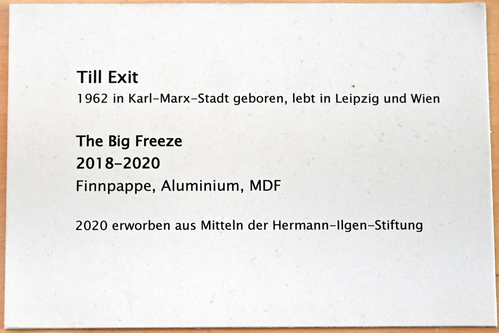 Till Exit (2019), The Big Freeze, Zwickau, Kunstsammlungen, Im Jetzt, 2018–2020, Bild 3/4