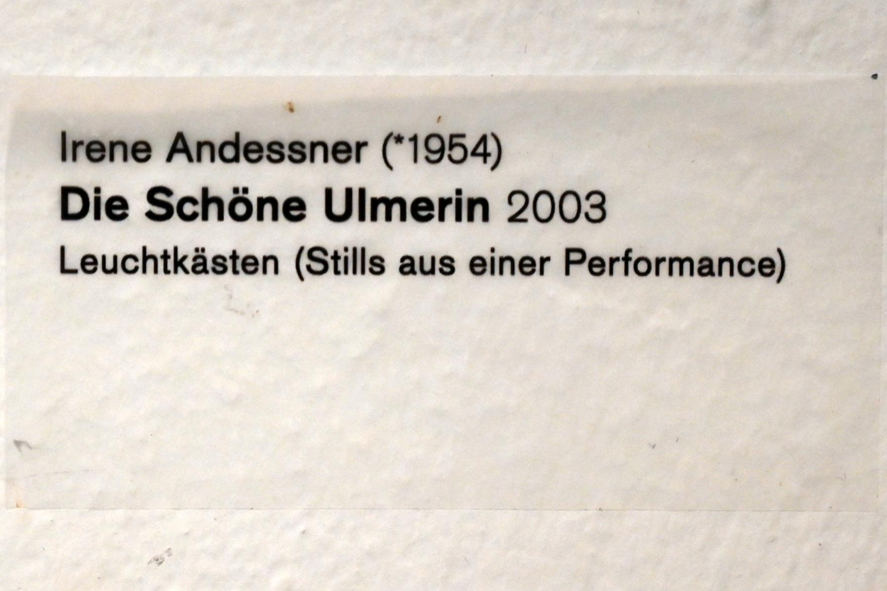 Irene Andessner (2003), Die Schöne Ulmerin, Ulm, Museum Ulm, Saal 4, 2003, Bild 3/3