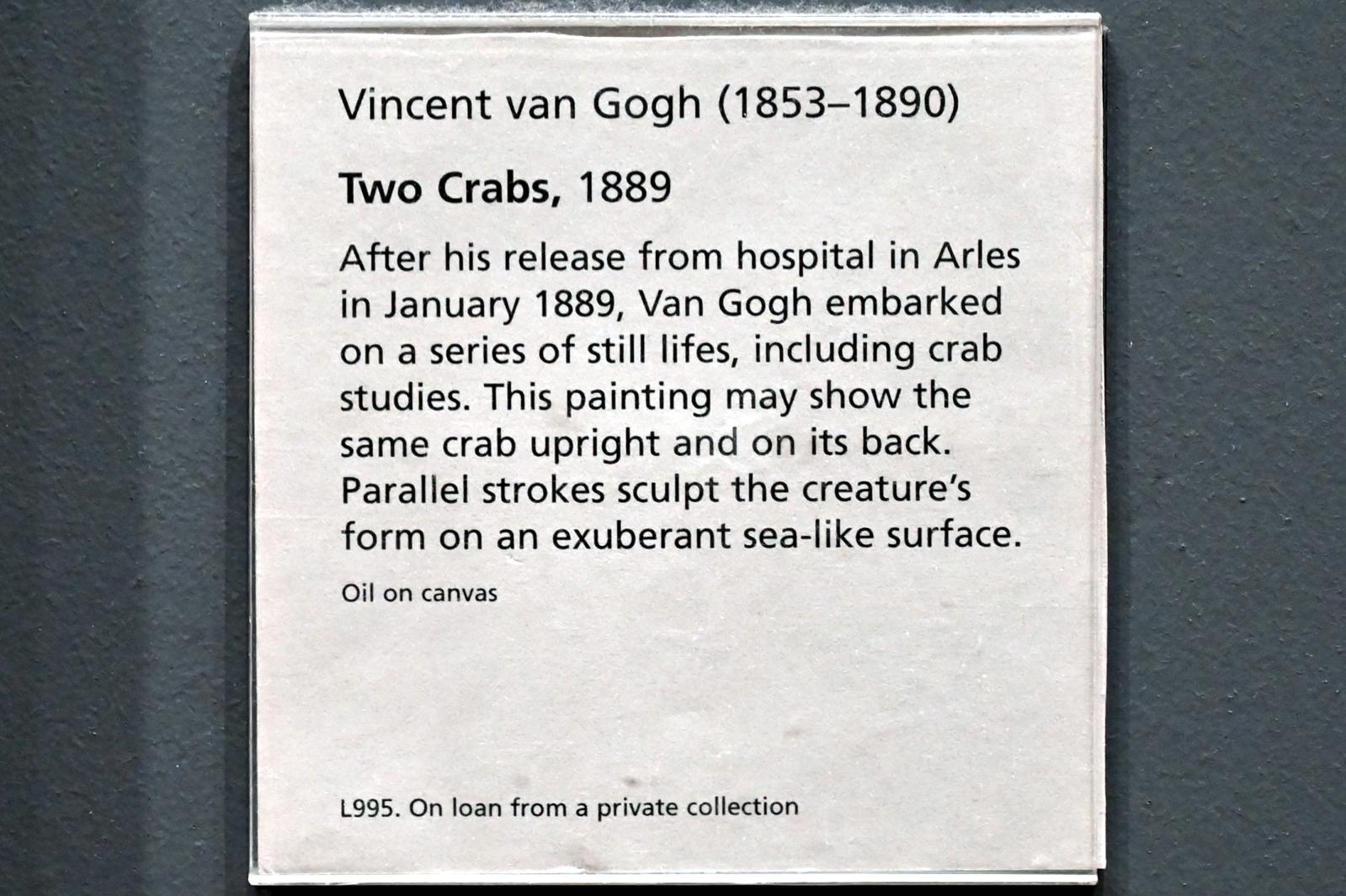 Vincent van Gogh (1882–1890), Zwei Krabben, London, National Gallery, Saal 40, 1889, Bild 2/2
