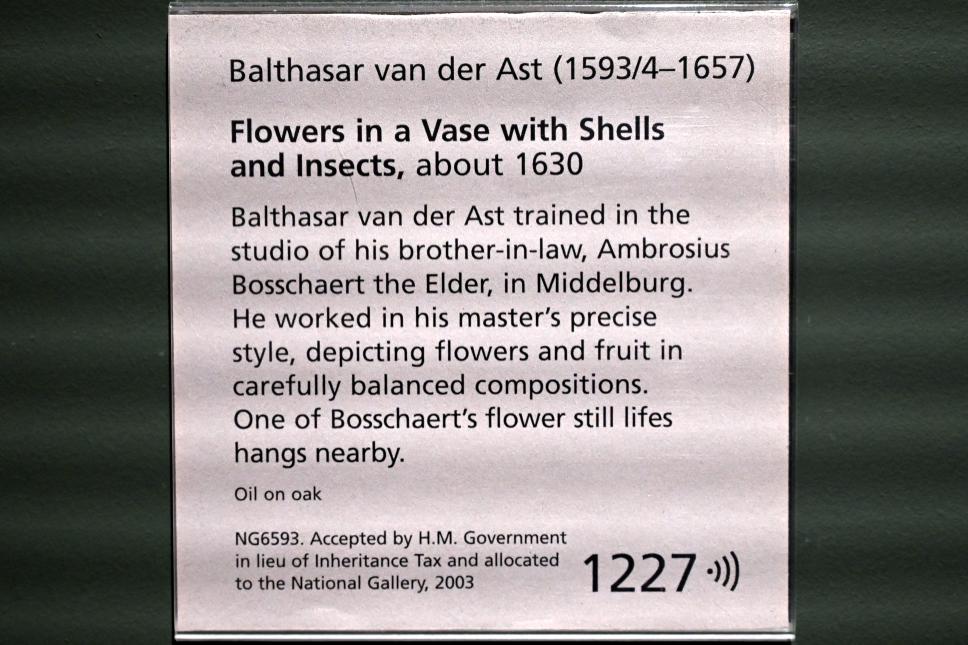 Balthasar van der Ast (1628–1649), Blumenvase mit Muscheln und Insekten, London, National Gallery, Saal 28, um 1630, Bild 2/2