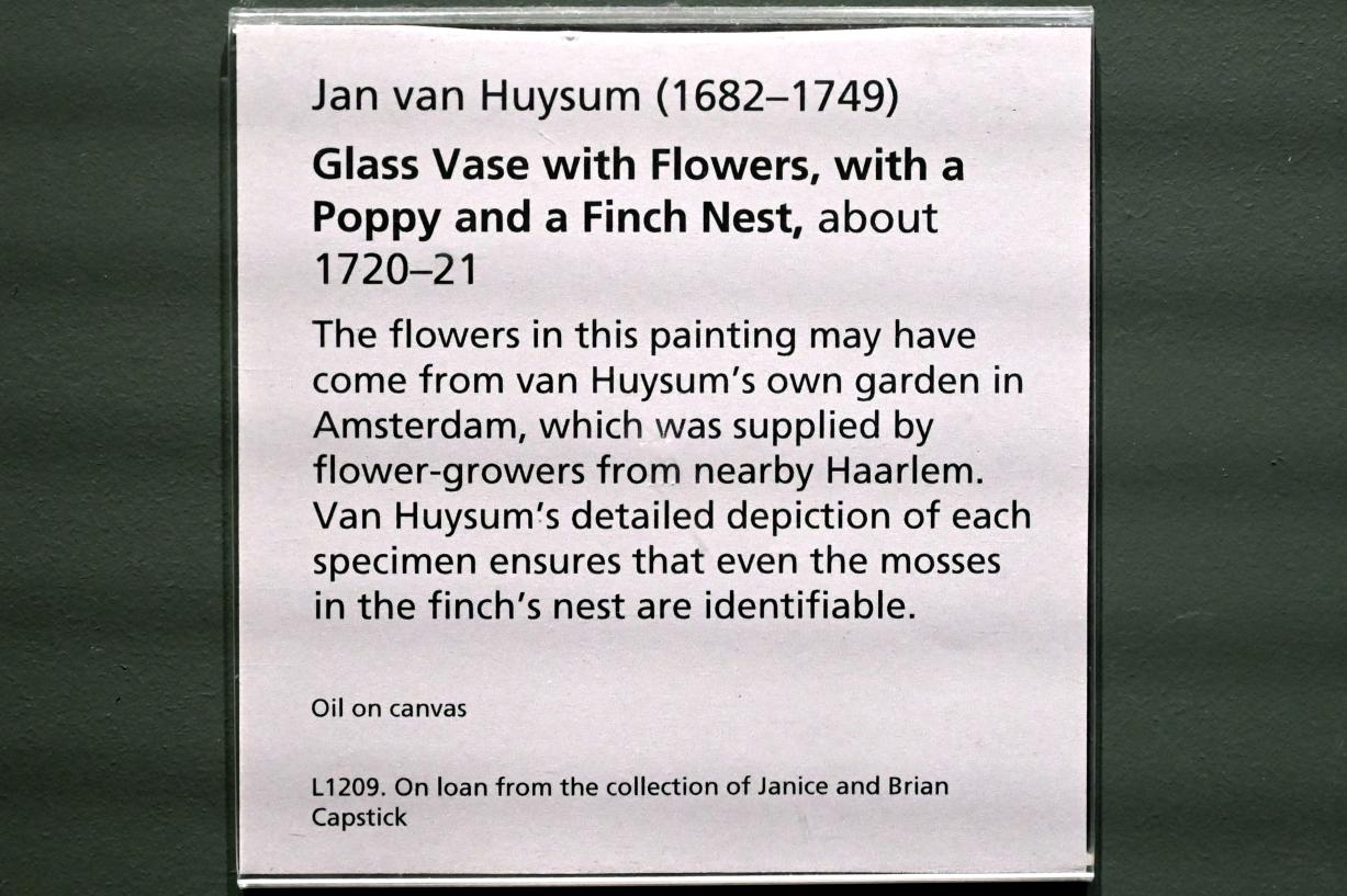 Jan van Huysum (1705–1730), Glasvase mit Blumen, Mohnblume und Finkennest, London, National Gallery, Saal 28, um 1720–1721, Bild 2/2