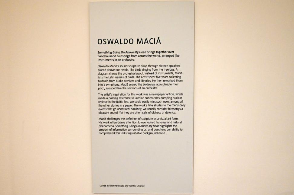Oswaldo Maciá (1999), Etwas geht über meinem Kopf vor, London, Tate Gallery of Modern Art (Tate Modern), Oswaldo Maciá, 1999, Bild 6/6
