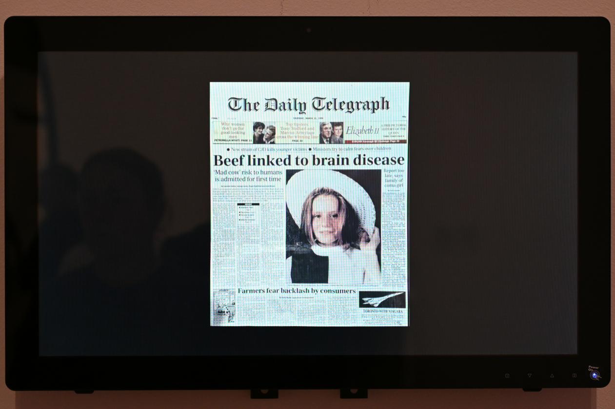 Gustav Metzger (1960–2016), Dias von der Mad Cows Talk Lesung, East West Gallery, Notting Hill, London, 10. Juni 1996, London, Tate Gallery of Modern Art (Tate Modern), Artist and Society 7, 1996, Bild 2/3