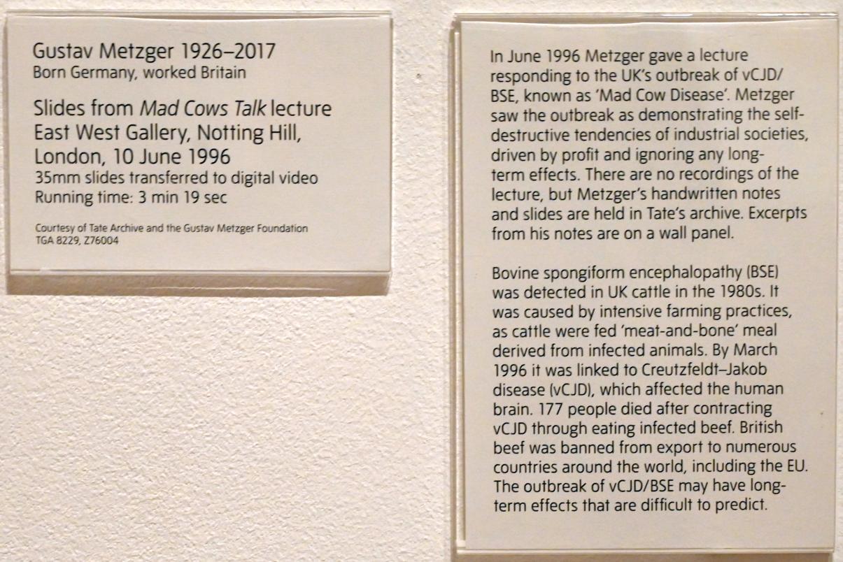 Gustav Metzger (1960–2016), Dias von der Mad Cows Talk Lesung, East West Gallery, Notting Hill, London, 10. Juni 1996, London, Tate Gallery of Modern Art (Tate Modern), Artist and Society 7, 1996, Bild 3/3