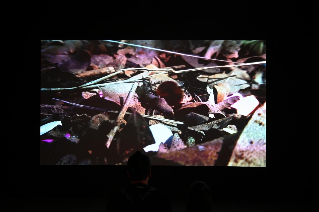 Rivane Neuenschwander (2006), Aschermittwoch (Quarta-feira de Cinzas) / Epilog, London, Tate Gallery of Modern Art (Tate Modern), Colonianism, 2006, Bild 2/4