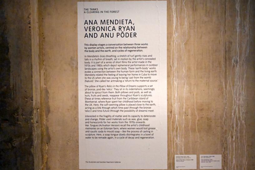 Veronica Ryan (1985), Relikte im Kissen der Träume, London, Tate Gallery of Modern Art (Tate Modern), The Tanks, 1985, Bild 5/5