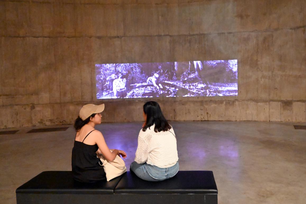 Alan Michelson (2018), Wolfsnation, London, Tate Gallery of Modern Art (Tate Modern), The Tanks, 2018, Bild 3/5